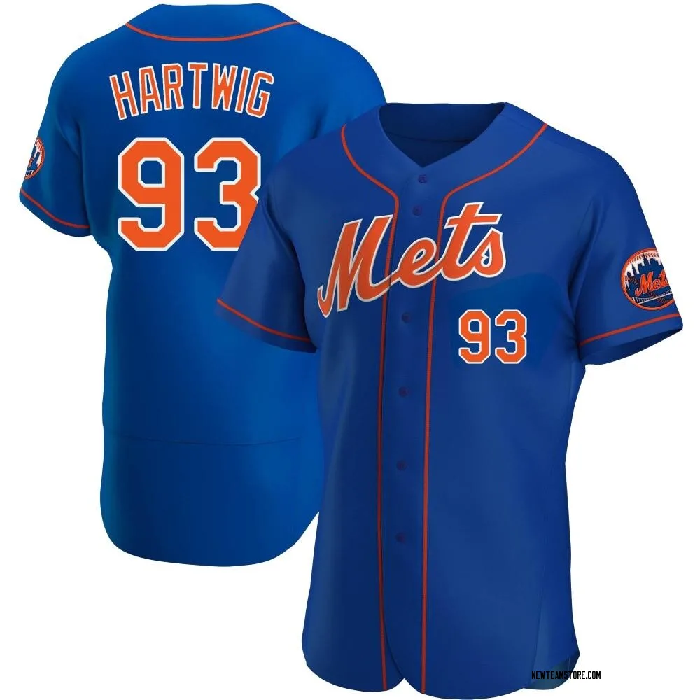 Patrick Mazeika New York Mets Men's Royal Roster Name & Number T-Shirt 